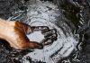 OVO SU CENE NAFTE DANAS: Evo šta se desilo sa vrednošću barela ovo-su-cene-nafte-danas:-evo-sta-se-desilo-sa-vrednoscu-barela