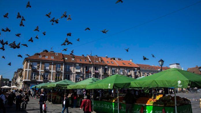 manifestacija-“bum-market”-za-vikend-na-pijaci-“zemun”