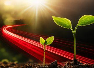 Strateški partner poljoprivrednika u Srbiji: ALTA banka nagrađena za najbrži rast u agraru strateski-partner-poljoprivrednika-u-srbiji:-alta-banka-nagradena-za-najbrzi-rast-u-agraru