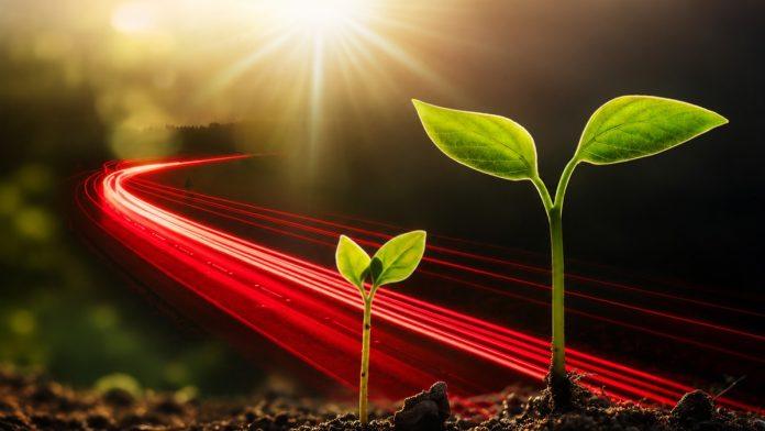 strateski-partner-poljoprivrednika-u-srbiji:-alta-banka-nagradena-za-najbrzi-rast-u-agraru