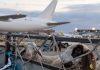 Jagnjad iz Srbije prvi put avionima za Sever Afrike: Otvoreno potpuno novo tržište, ugovoren ogroman posao (FOTO) jagnjad-iz-srbije-prvi-put-avionima-za-sever-afrike:-otvoreno-potpuno-novo-trziste,-ugovoren-ogroman-posao-(foto)
