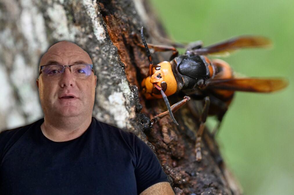 matice-su-izasle-iz-hibernacije,-na-jedan-signal-krecu-u-masovan-napad-na-coveka:-vladica-otkriva-trik-sa-lekom-koji-spasava-zivot-od-ovog-insekta matice-su-izasle-iz-hibernacije,-na-jedan-signal-krecu-u-masovan-napad-na-coveka:-vladica-otkriva-trik-sa-lekom-koji-spasava-zivot-od-ovog-insekta