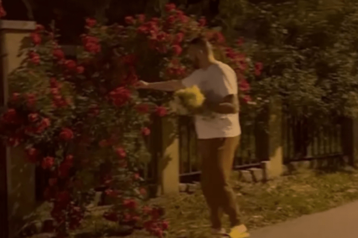 privatni-snimak-slobe-vasica-objavljen:-nakon-lecenja-u-lazi-lazarevic,-isplivalo-sve-iz-telefona,-evo-kako-se-zaista-ponasa!-(video)