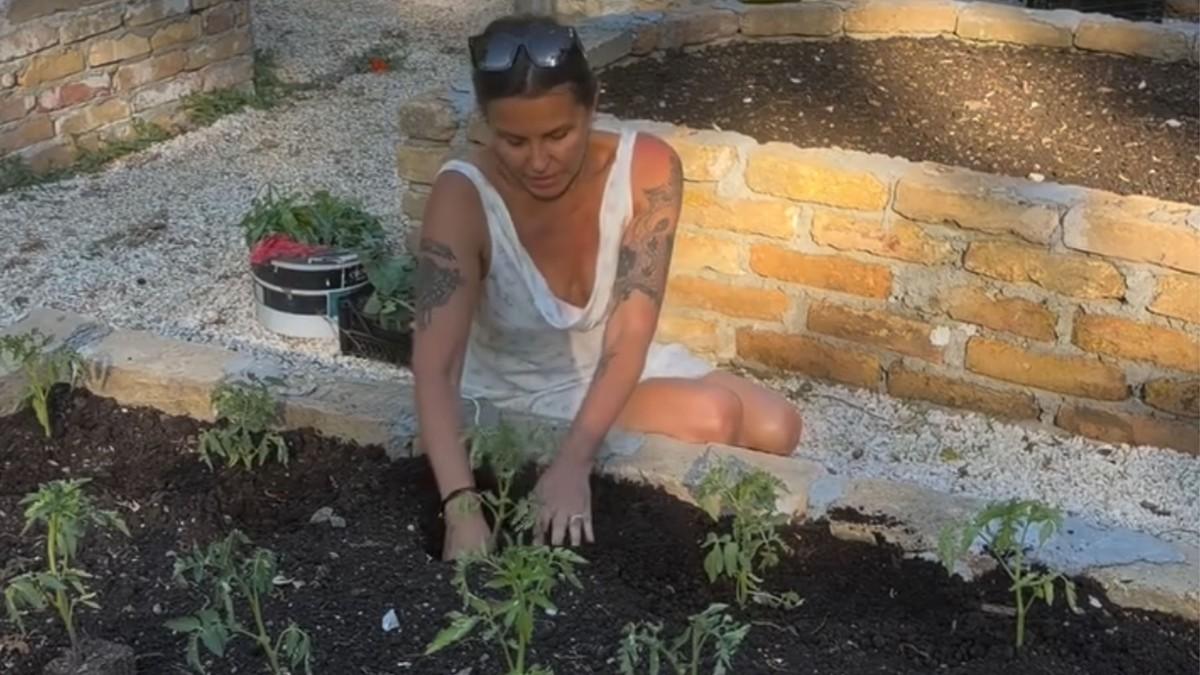 vila-u-sumi-vredi-milione-ovo-je-imanje-elene-karaman-na-kosmaju:-u-dvoristu-ogroman-bazen-i-letnjikovac,-a-pored-kuce-zasadila-bilje-(video) vila-u-sumi-vredi-milione-ovo-je-imanje-elene-karaman-na-kosmaju:-u-dvoristu-ogroman-bazen-i-letnjikovac,-a-pored-kuce-zasadila-bilje-(video)