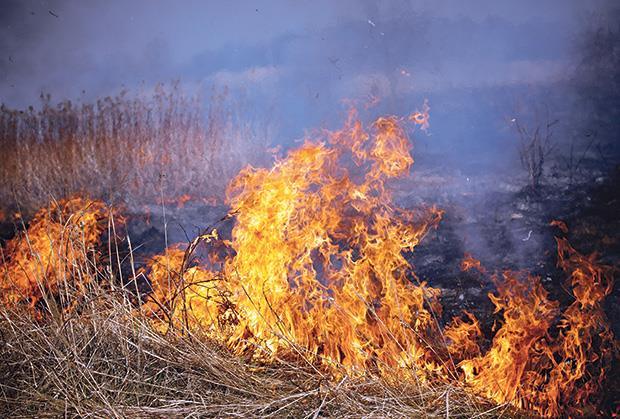 drama-na-dedinju:-zapaljena-trava-u-drajzerovoj-ulici,-brzom-reakcijom-nadleznih-sprecena-veca-materijalna-steta-(foto) drama-na-dedinju:-zapaljena-trava-u-drajzerovoj-ulici,-brzom-reakcijom-nadleznih-sprecena-veca-materijalna-steta-(foto)