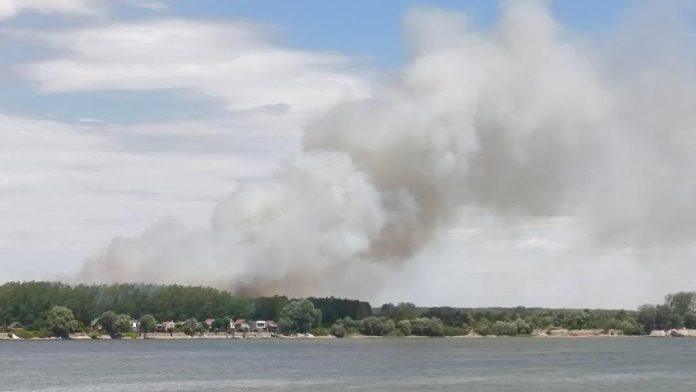 (foto,-video)-pozar-preko-puta-zemunskog-keja-kulja-gust,-sivi-dim,-gori-nisko-rastinje