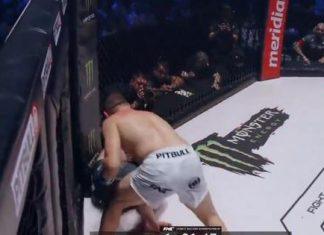 FNC 31 Stošić prebio “debelog” Hardija! fnc-31-stosic-prebio-“debelog”-hardija!