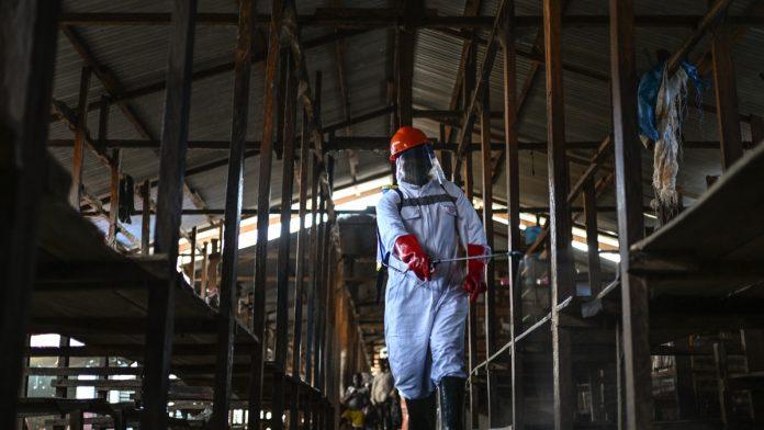 “ebola-se-siri-neverovatnom-brzinom”-panika-zbog-opakog-virusa,-novi-slucajevi-se-pojavljuju-iz-casa-u-cas:-“situacija-je-zabrinjavajuca!”