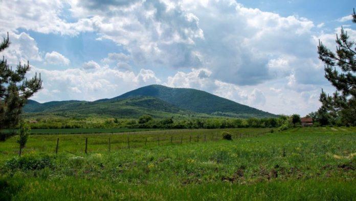navodnjavanje-kao-kljuc-opstanka:-zasto-vojvodina-vise-nije-„zitnica-evrope“?