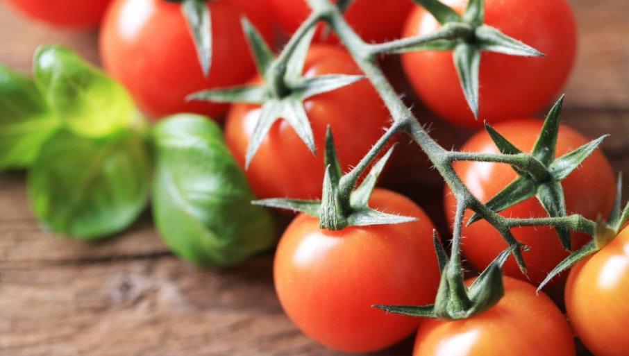 savremeno-povrtarstvo:-evo-kako-da-tacno-znate-koliko-cete-paradajza-ubrati savremeno-povrtarstvo:-evo-kako-da-tacno-znate-koliko-cete-paradajza-ubrati