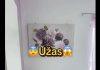 Gazdarica pokazala šta su gosti ostavili iza sebe u apartmanu na Jadranu, nije mogla da veruje svojim očima: “Ovi su ti sigurno iz Bosne” (VIDEO) gazdarica-pokazala-sta-su-gosti-ostavili-iza-sebe-u-apartmanu-na-jadranu,-nije-mogla-da-veruje-svojim-ocima:-“ovi-su-ti-sigurno-iz-bosne”-(video)