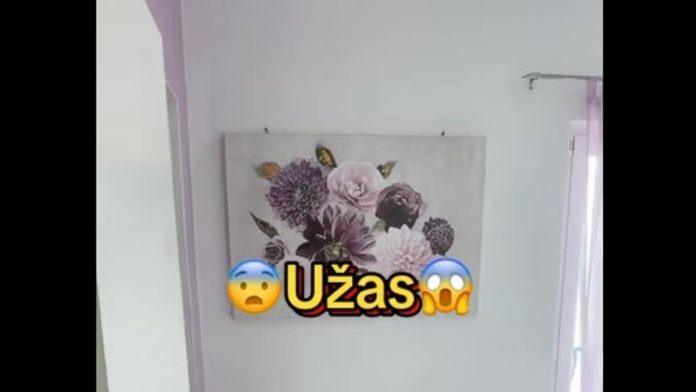 gazdarica-pokazala-sta-su-gosti-ostavili-iza-sebe-u-apartmanu-na-jadranu,-nije-mogla-da-veruje-svojim-ocima:-“ovi-su-ti-sigurno-iz-bosne”-(video)