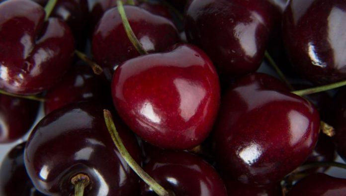 pucanje-tresanja:-sprecite,-uberite-zdravo-i-zaradite-vise