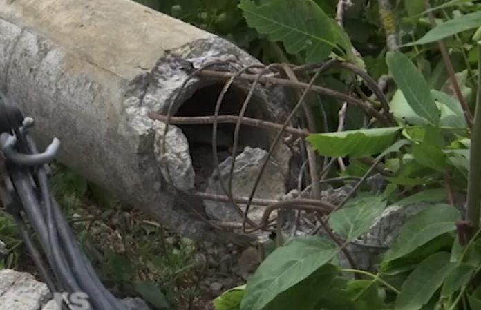 “ovakvu-stetu-nisam-video-za-svojih-80-godina!”-nevreme-napravilo-haos-u-ovom-delu-srbije:-grad-i-olujni-vetar-opustosili-useve,-vocnjake-steta-ogromna!-(foto)