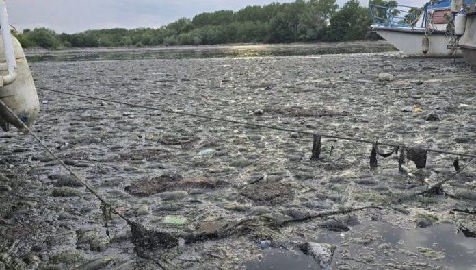 tragedija-kod-hotela-“jugoslavija”:-iz-dunava-izvuceno-telo-starijeg-muskarca