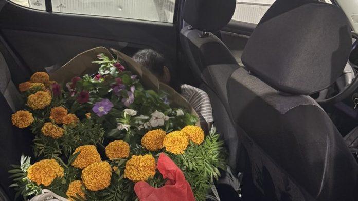 policija-pretresla-automobil-koji-je-napustao-crnu-goru,-pa-ostala-u-soku!-na-zadnjem-sedistu-zatekli-zenu-prekrivenu-cvecem-i-prtljagom!-(foto)