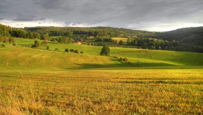 kupovina-placa-u-srbiji:-jedna-greska-i-odose-hiljade-evra-–-obratite-paznju!