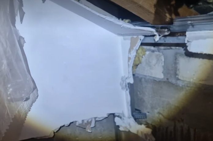 zmijolovac-vladica-imao-posla-s-necim-do-sad-nevidenim:-kad-je-video-rupe-i-osetio-smrad-ostao-u-soku!-ni-zmija,-ni-strsljen,-a-demolirao-sobu-(video)