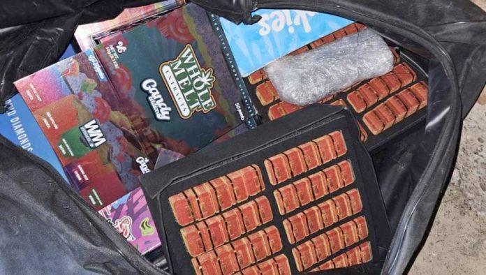 novosadska-policija-zaplenila-drogu:-uhapseno-dvoje-osumnjicenih-(foto)