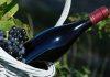 VATIKAN IMA I ZVANIČNO VINO: Proizvedeno u 5.000 boca, namenjeno za proslave u posebnim prilikama vatikan-ima-i-zvanicno-vino:-proizvedeno-u-5.000-boca,-namenjeno-za-proslave-u-posebnim-prilikama
