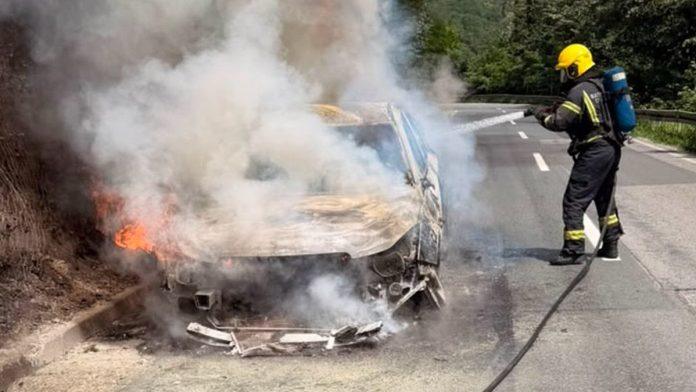 (foto)-buktinja-na-iriskom-vencu-automobil-potpuno-izgoreo-usred-bela-dana,-gust-dim-kuljao-sa-puta:-saobracaj-bio-u-potpunom-prekidu