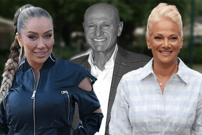 saban-krio-od-porodice-da-je-snimio-duet-s-teom-tairovic:-ilda-saulic-otkrila-sok-detalje!
