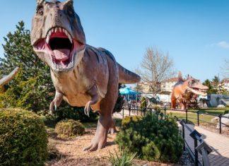 PROVEDITE VIKEND SA DECOM: Najlepša porodična putovanja kroz Srbiju provedite-vikend-sa-decom:-najlepsa-porodicna-putovanja-kroz-srbiju