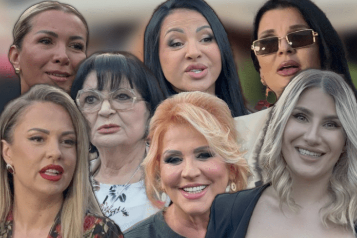 popadace-vam-vilica-kad-vidite-ko-je-stigao-na-canin-koncert!-kamere-ih-pratile-u-stopu,-prisutni-u-transu!