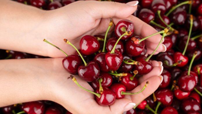 pocela-berba-visanja!-otkupna-cena-ove-godine-ide-do-60-dinara:-evo-sta-to-znaci-za-vocare