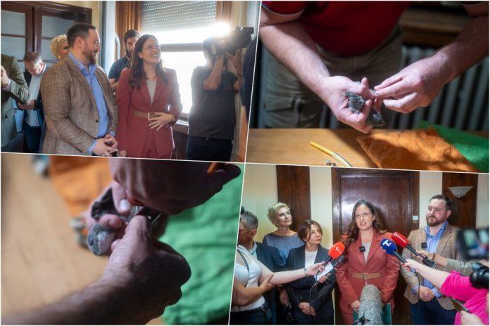 ministarka-sava-pavkov-obisla-bele-ciope-koje-su-prstenovane:-briga-o-ovim,-ali-i-drugim-zasticenim-vrstama,-su-odgovornost-i-duznost,-a-ne-politika!