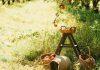 Od bakinih voćnjaka i leja do modernih gastro priča: Stare sorte mogu biti velika prilika za domaće proizvođače od-bakinih-vocnjaka-i-leja-do-modernih-gastro-prica:-stare-sorte-mogu-biti-velika-prilika-za-domace-proizvodace