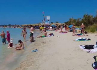 NOVA OPASNOST VREBA TURISTE U GRČKOJ Ako primetite ovu ribu, bežite: Posledice mogu biti kobne po zdravlje nova-opasnost-vreba-turiste-u-grckoj-ako-primetite-ovu-ribu,-bezite:-posledice-mogu-biti-kobne-po-zdravlje