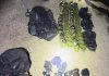 AKCIJA POLICIJE: Velika zaplena oružja u Nišu, pronađeno 67 bombi i dva raketna bacača, osumnjičeni uhapšen akcija-policije:-velika-zaplena-oruzja-u-nisu,-pronadeno-67-bombi-i-dva-raketna-bacaca,-osumnjiceni-uhapsen