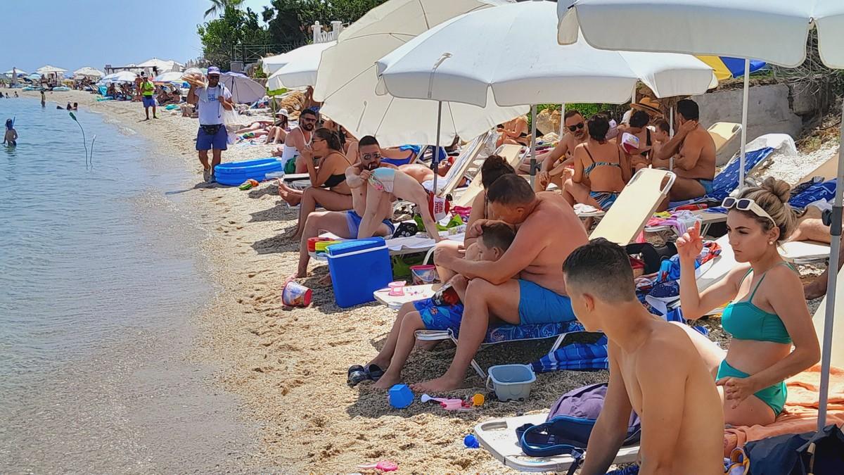 panika-u-grckoj-zbog-“ribe-zec”,-a-vidite-sta-je-izjedalo-ove-beogradane:-“supruzi-krenula-i-krv!”;-evo-sta-ih-posebno-privlaci panika-u-grckoj-zbog-“ribe-zec”,-a-vidite-sta-je-izjedalo-ove-beogradane:-“supruzi-krenula-i-krv!”;-evo-sta-ih-posebno-privlaci