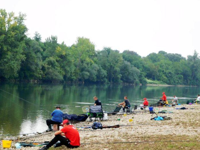 “mislio-sam-da-u-tamisu-nema-ni-kedera,-a-ono-neman”-sok-ulov-kod-panceva:-ribolovac-izvukao-giganta-na-uscu-tamisa-u-dunav,-ova-slika-izaziva-nevericu-(foto)
