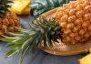 SVE ONO ŠTO NISTE ZNALI O ANANASU: Postoje dve vrste ovog voća i nekoliko klasa – jedna je kraljevska! sve-ono-sto-niste-znali-o-ananasu:-postoje-dve-vrste-ovog-voca-i-nekoliko-klasa-–-jedna-je-kraljevska!