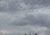 NEVEROVATNO! Sutra dron šou ispred Skupštine – Letilice će najaviti veliki skup Srbija jedna porodica (VIDEO) neverovatno!-sutra-dron-sou-ispred-skupstine-–-letilice-ce-najaviti-veliki-skup-srbija-jedna-porodica-(video)