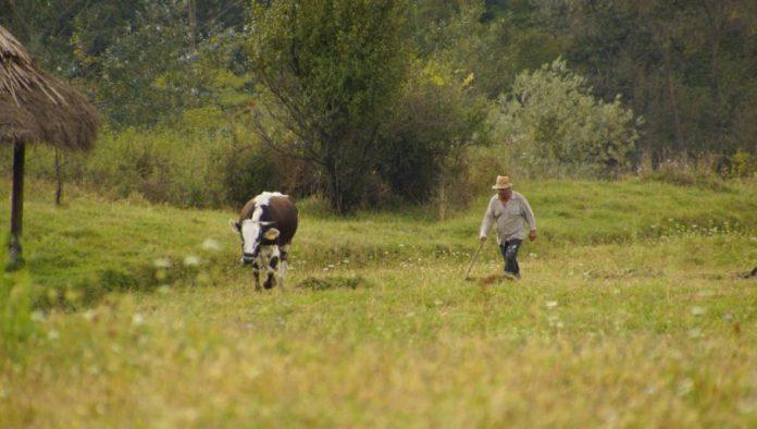 cene-poljoprivrednog-zemljista-stabilne:-evo-gde-je-zemlja-najjeftinija,-a-gde-najskuplja