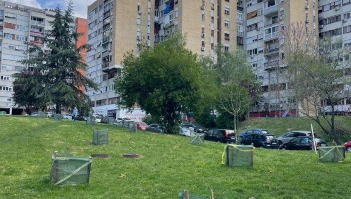 da-li-je-11-milijardi-za-cistiji-vazduh,-pola-miliona-sadnica-i-ociscene-deponije-“mrtvo-slovo-na-papiru”?-ministarstvo-odgovorilo