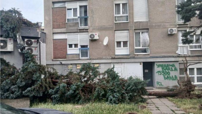 oluja-protutnjala-loznicom:-kidala-stabla,-nosila-krovove