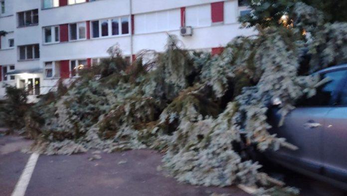 vetar-nosio-krovove,-lomio-i-cupao-drvece:-loznicu-i-ljuboviju-pogodilo-jako-nevreme-(foto)