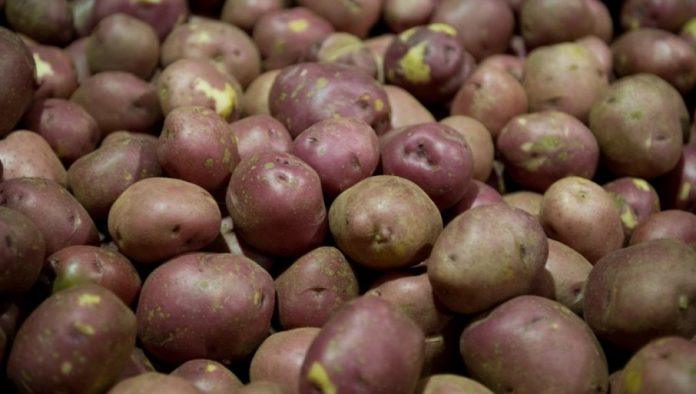 krompir-cemo-uvoziti:-evo-na-koje-probleme-se-ukazuje-i-kako-ih-treba-resavati