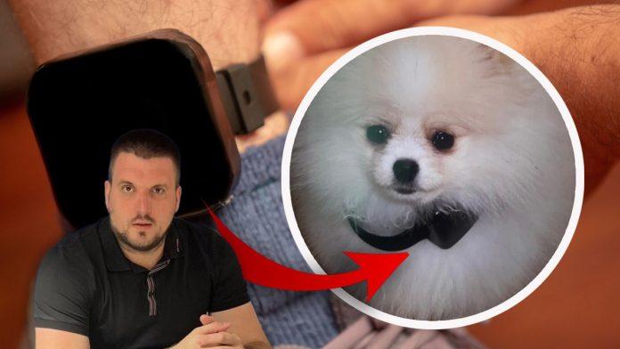 pas-sa-nanogicom,-pucnjava-u-kaficu,-gazenje-zene-krcat-dosije-dejana-vuksanovica-koji-je-konacno-uhvacen-u-crnoj-gori:-sada-je-napravio-novi-haos!