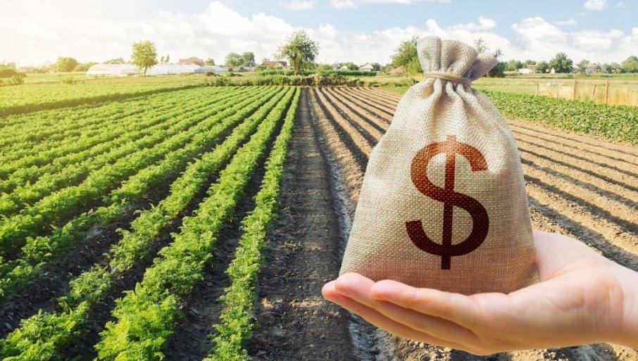 najbolji-odnos-uloga-i-dobiti:-najprofitabilnije-kulture-sa-minimalnim-pocetnim-ulaganjem najbolji-odnos-uloga-i-dobiti:-najprofitabilnije-kulture-sa-minimalnim-pocetnim-ulaganjem