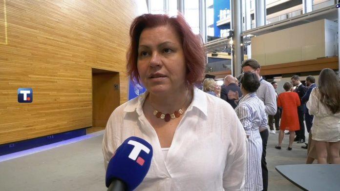 vicek:-izvestaj-o-srbiji-u-ep-neujednacen,-usvajanje-bilo-ocekivano