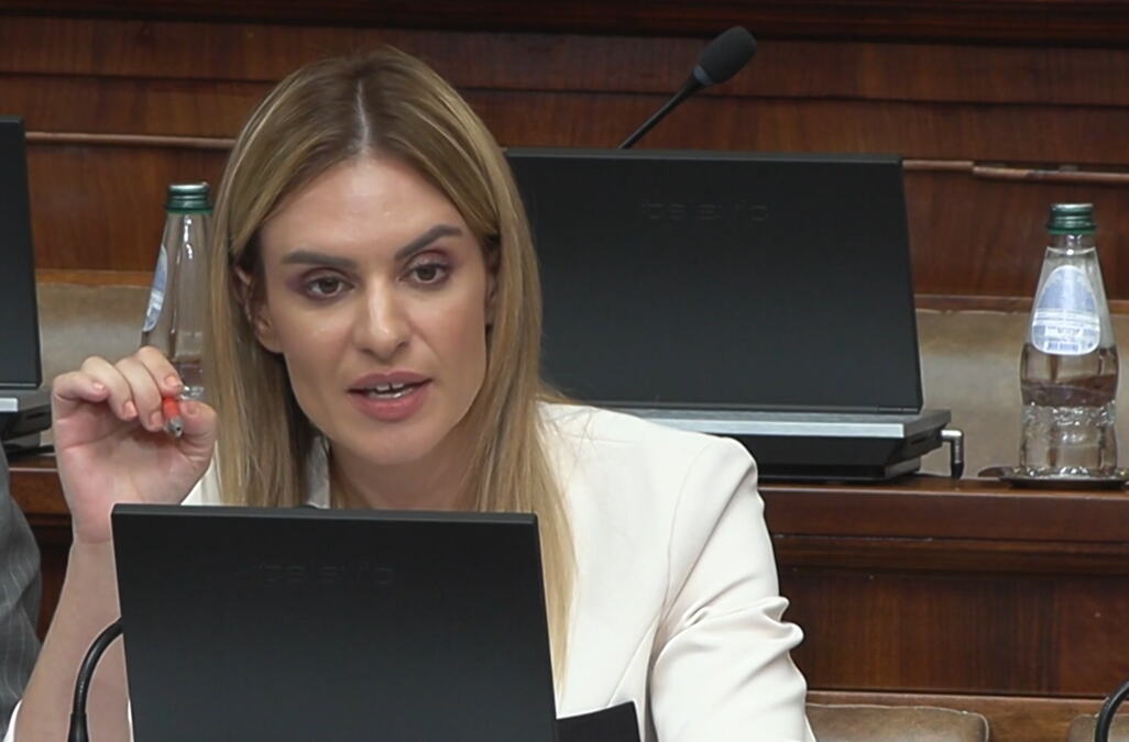ministarka-durdevic-stamenkovski-poklopila-opoziciju-u-skupstini:-svi-su-se-slozili-da-je-ovaj-zakon-pozitivan-korak-–-prvi-put-se-bavimo-pravima-roditelja ministarka-durdevic-stamenkovski-poklopila-opoziciju-u-skupstini:-svi-su-se-slozili-da-je-ovaj-zakon-pozitivan-korak-–-prvi-put-se-bavimo-pravima-roditelja