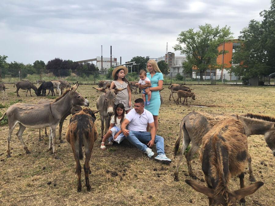 donirajte-300-evra-za-lecenje-dece-i-dobijate-magarca:-neverovatan-humani-gest-porodice-dzakula-sa-farme-“mekani” donirajte-300-evra-za-lecenje-dece-i-dobijate-magarca:-neverovatan-humani-gest-porodice-dzakula-sa-farme-“mekani”