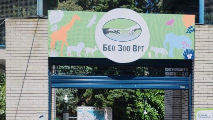 beo-zoo-vrt-slavi-90.-rodendan!-u-nedelju-slobodan-ulaz-za-najmlade,-evo-sta-vas-sve-ceka
