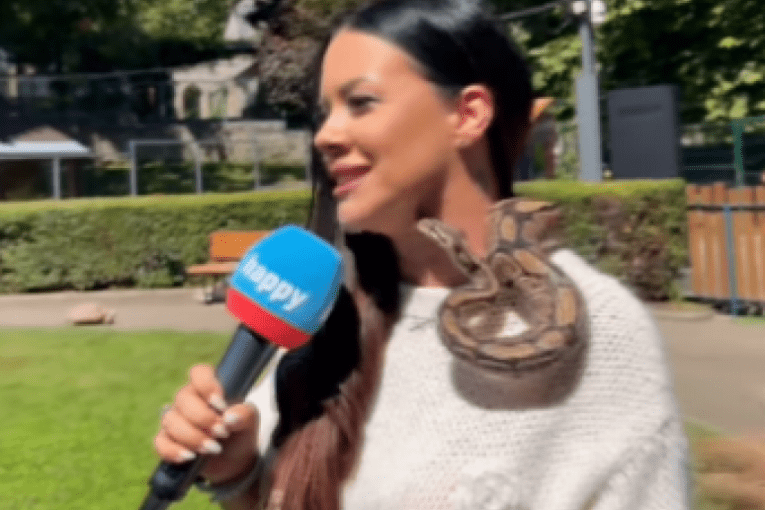 scena-ledi-krv-u-zilama!-nasa-voditeljka-u-programu-stavila-zmiju-oko-vrata:-situacija-izmakla-kontroli,-osoblje-hitno-reagovalo!-(video) scena-ledi-krv-u-zilama!-nasa-voditeljka-u-programu-stavila-zmiju-oko-vrata:-situacija-izmakla-kontroli,-osoblje-hitno-reagovalo!-(video)