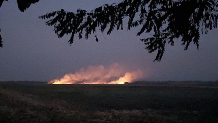 vatra-gutala-njive-kod-sremske-mitrovice:-vatrogasci-hitno-intervenisali-zbog-paljenja-strnjike